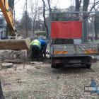 Wycinka drzewa w parku