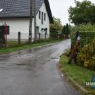zdjęcie nr 21