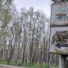 Stan oznakowań szlaków rowerowych w Jaworznie. Fot. Patrycja Koprzak