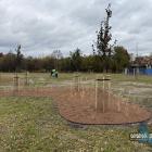 Nowy skwer w centrum Jaworzna