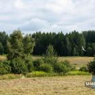 zdjęcie nr 35