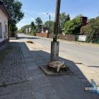zdjęcie nr 10