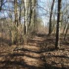 Trakt nad Białą Przemsza