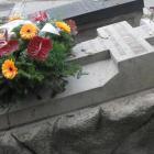 zdjęcie nr 7