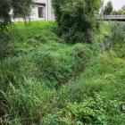 Bobry w Jaworznie - stan na sierpień 2025