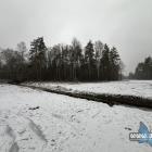 zdjęcie nr 15