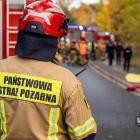 zdjęcie nr 181