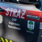 zdjęcie nr 134
