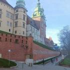 fot. Andrzej Makowski 