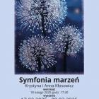 zdjęcie nr 12
