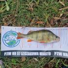 Towarzyskie Zawody Spiningowe na Zalewie Sosina. Fot. Koło PZW nr. 57 Szczakowa Miasto...
