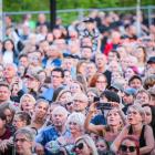 Fun Festival Sosnowiec