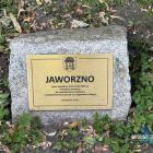zdjęcie nr 7