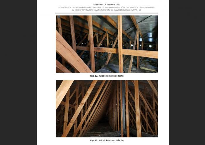 Jedna ze stron przygotowanej ekspertyzy.