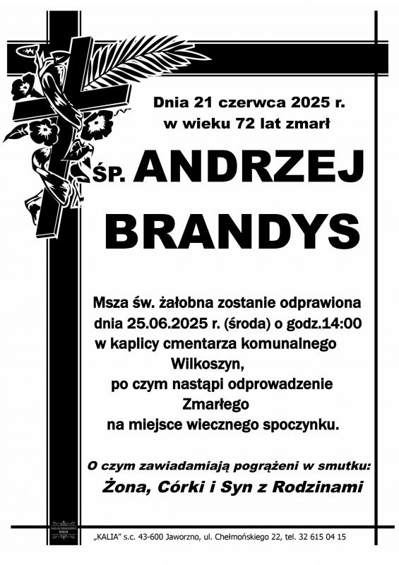 ANDRZEJ BRANDYS