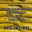 zdjęcie nr 