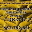 zdjęcie nr 