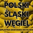 zdjęcie nr 