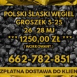 zdjęcie nr 