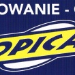 zdjęcie nr 
