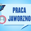 zdjęcie nr 