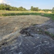zdjęcie nr 