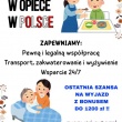 zdjęcie nr 