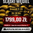 zdjęcie nr 