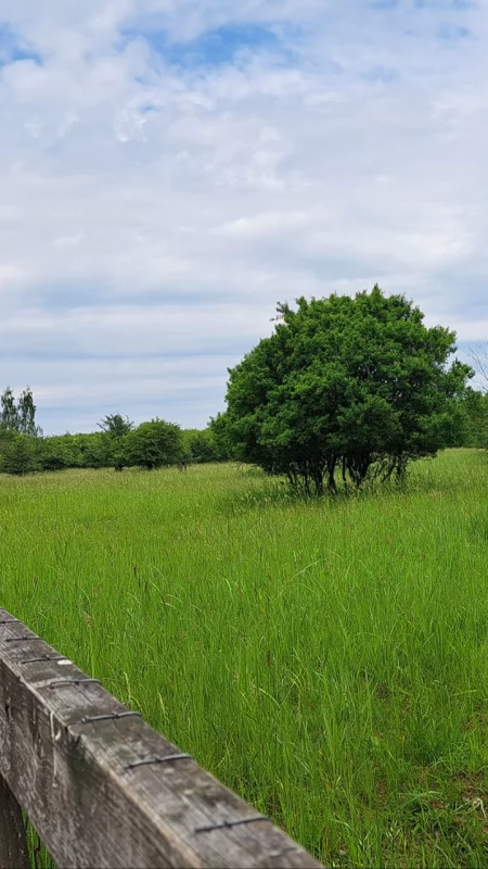 Urząd odpowiada, że kolejne spotkania konsultacyjne mają się odbyć w godzinach popołudniowych