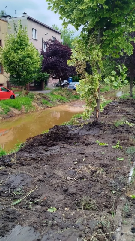Sprzątają brzegi Koziego Brodu. Kopce po czyszczeniu rzeki znikają