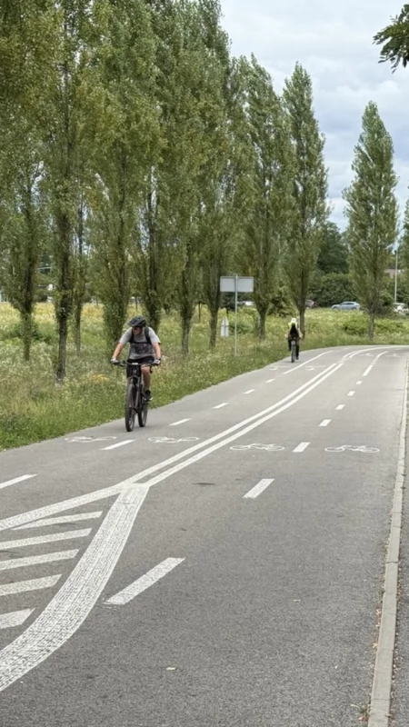 Jaworzno rowerowym miastem przyszłości. Eksperci docenili miejskie rozwiązania
