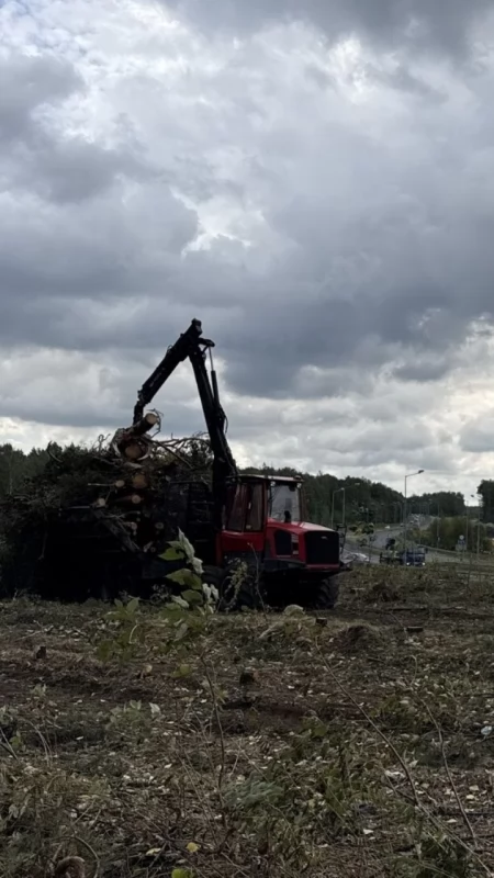 Wycinka drzew przy DK 79 w Jaworznie. Powstaną tu nowe ronda, wiadukty i drogi