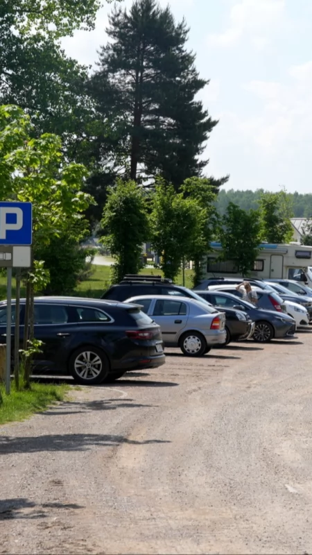 Sosina. Bezpłatny, ale tylko do czasu