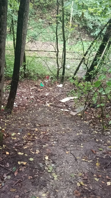 Dzikie wysypisko posprzątane. Sprawca sam się zgłosił po naszej interwencji