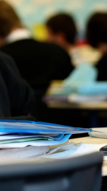 Wszawica. Rodzice alarmują, Sanepid uspokaja, a szkoła apeluje o czujność
