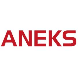  ANEKS Polska