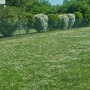 Działki Jaworzno - ogłoszenia Nieruchomości Jaworzno | jaw.pl