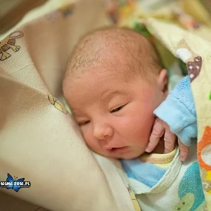 Zdjęcie: Ludzie Jaworzno Społeczeństwo