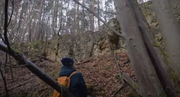 Poznać, pokochać, chronić. Wzgórze Wygonie-Kępa w Mysłowicach