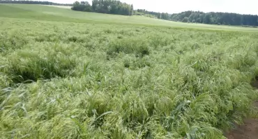Zapis z terenu: Przygoń – Trzebinia w obiektywie Grzegorzka