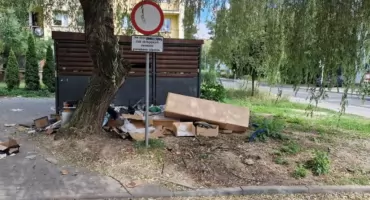 Śmierdząca wiata śmietnikowa ze szczurami. Zarządca został wezwany do uprzątnięcia terenu