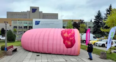 Gigantyczne jelito 3D stanęło przed szpitalem w Sosnowcu