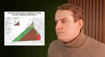 Los lasu na Dąbrowie Narodowej w rękach radnych. Projektu nie udało się wycofać z porządku obrad