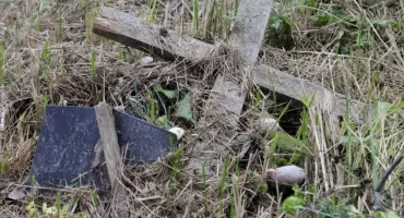 Oczywista Nieoczywistość – Ożywieni