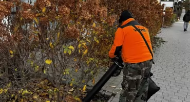 Profesjonalna pielęgnacja terenów zewnętrznych – inwestycja w estetykę osiedla