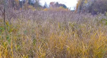 Byczyńska hydrozagadka