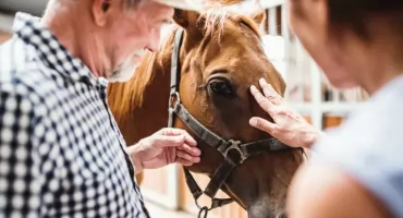 Zacznij przygodę z hipoterapią. Poznaj rolę, jaką pełni instruktor hipoterapii