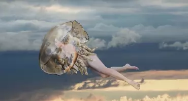 Galeria Kameralna zaprasza na wernisaż 