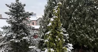 Zimno w szkole. Dyrektor zdecydował się odwołać zajęcia