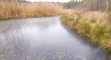 Pojezierze bieruńsko-lędzińskie. Akwen powstały wskutek osiadania powierzchni